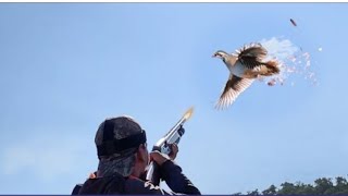 Keklik avı shotcam çekimleri, partridge hunting