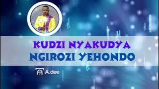 Ngirozi yehondo - Kudzi Nyakudya
