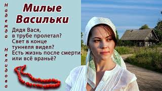 картинка: Надежда Нелидова. Аудиорассказ Милые Васильки. Читает Андрей Корсаков.