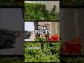 Mini Vlog 07 | Instagram reels | Sean Paul - No Lie ft. Dua Lipa | Trending Viral Mini Vlog