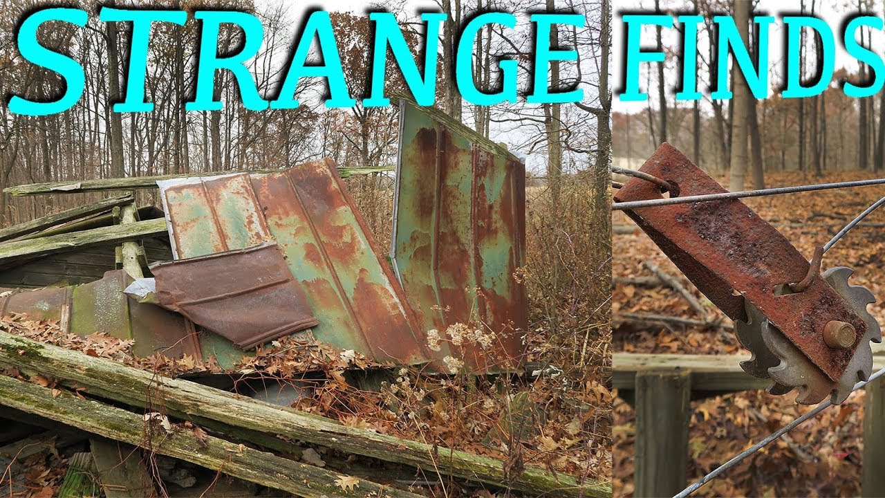 Strange Old Farm Relics Found in the Forest