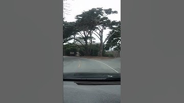 Thumbnail of Pebble Beach California 17 Mile Drive Tour #shorts #travel #pebblebeach #drive #scenic #subscribe