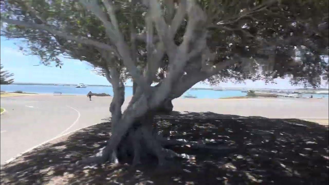 By Bus 🚎 Perth to Geraldton WA YouTube
