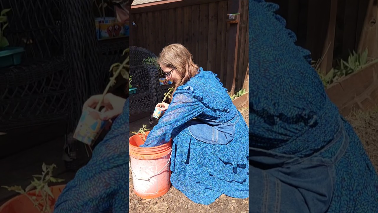 Successfully Started Almost 200 Vegetable Plants Due To A Local Class. Now We Have Too Make Plants