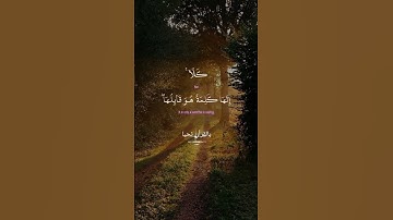 #القارئ_ياسر_الدوسري #سورةالمؤمنون#المصحف #اكسبلور #لايك #اكتب_شي_تؤجر_عليه