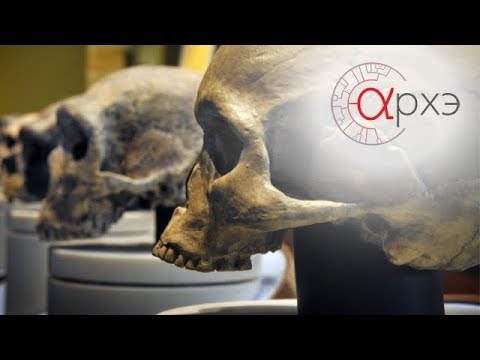 Видео: Каква е разликата между еволюция и коеволюция?