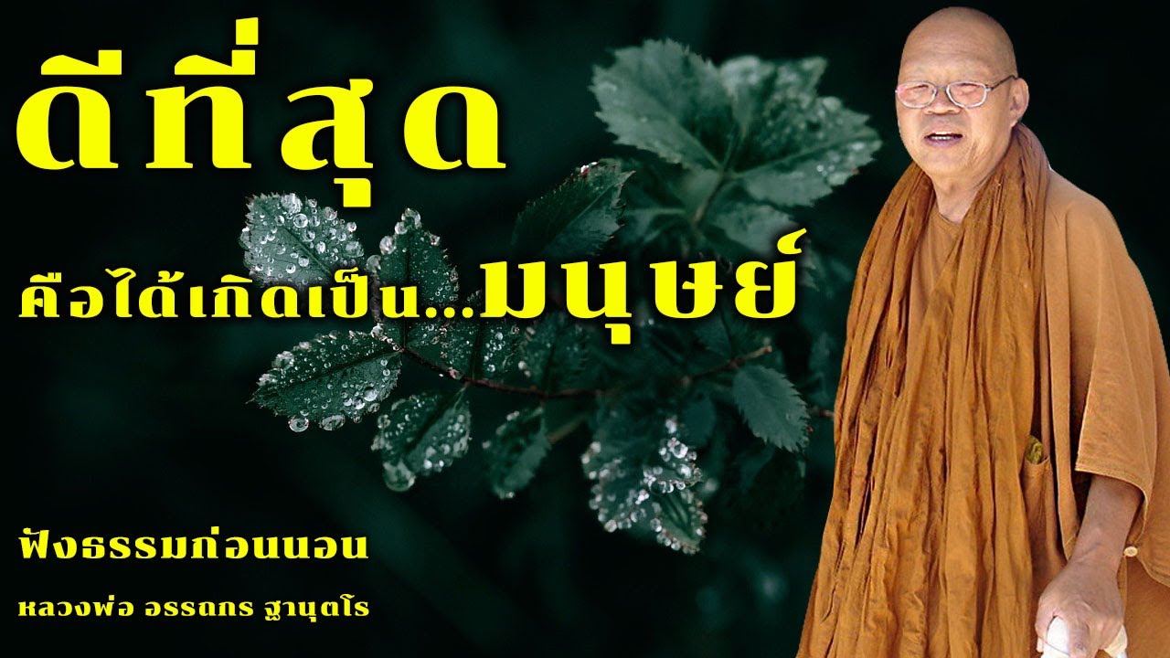 ดีที่สุดคือการได้เกิดมาเป็นมนุษย์ | ฟังธรรมก่อนนอน