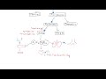 Alpha 2 Receptors Explained for Nursing Students