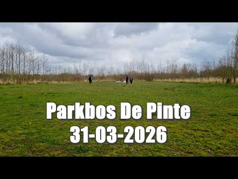 Video Parkbos De Pinte 31 03 2026