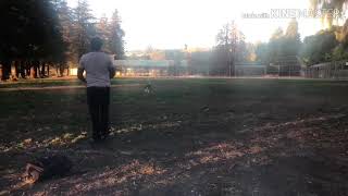 Team Associated Rc8Te 1800kv 5s Test Run...