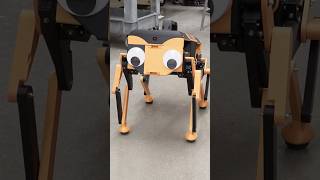Thumbnail for I Built a Better Robot Dog
