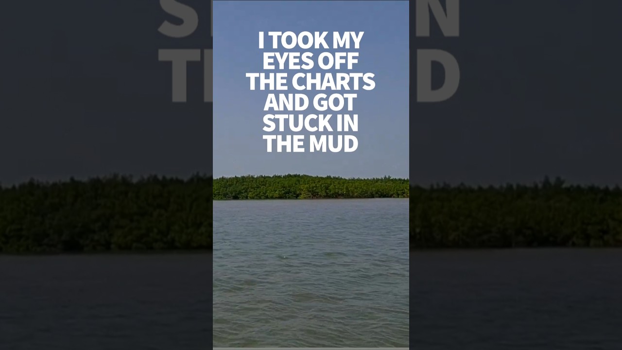 ⁣Sailing up the Casamance River is very. different #windedvoyage #sailinglifestyle #africatravel