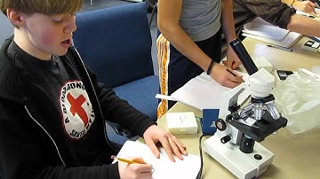 Apologia Biology Lab - Module 11 - Experiment 11.4