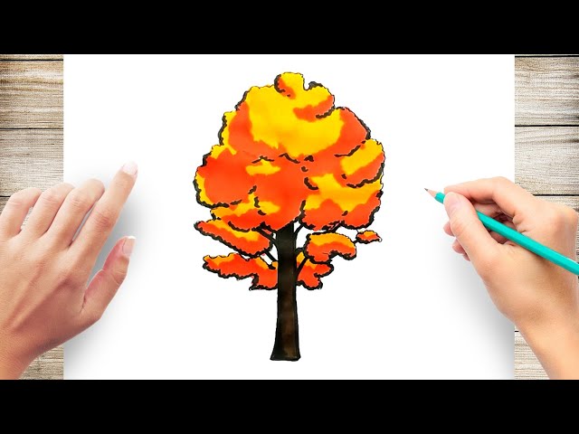 How To Draw A Fall Tree