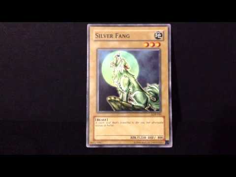 Yu-Gi-Oh - Silver Fang Yu-Gi-Oh - Silver Fang