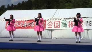 20160504　南丹娘　「365日の紙飛行機」　第40回新緑祭inSTIHLの森京都