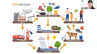 How plastics poison the circular economy: Data reveals global public health threats