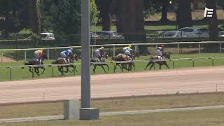 Vidéo de la course PMU PRIX MADAME JEAN COUTURIE