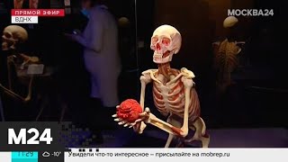 В Москве открылась анатомическая выставка, которая шокировала весь мир