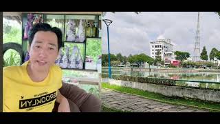 Which Artist Is Vo Viet Ban Talking About? #news #life