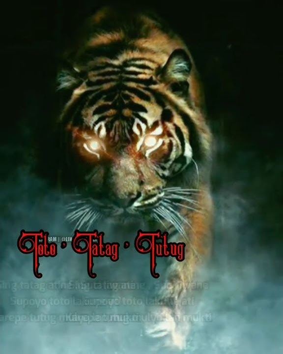 Sing tatag atine || story WA Nasehat harimau jawa