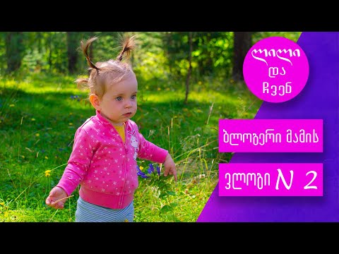 ბლოგერი მამის ვლოგი N2