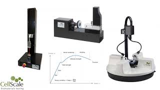 Mechanical Test Data Analysis and Strain Measurement Software Overview