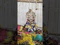 श्री कृष्ण जन्माष्टमी की शुभकामनाएं,#reels #viral #krishna #happybirthday