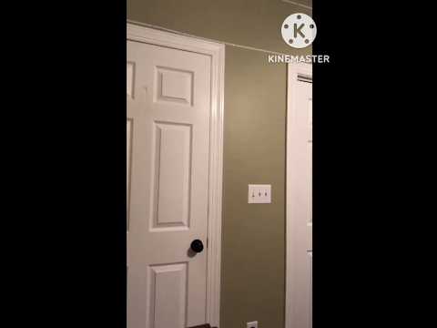 Donald Duck Catches