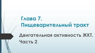 Физиология. Глава 7. Пищеварительный тракт. Двигательная активность ЖКТ. Часть 2