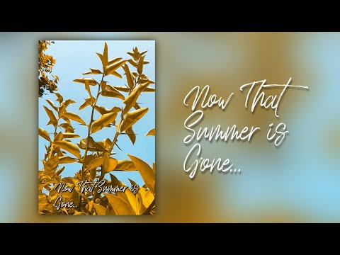 Now that Summer is Gone...