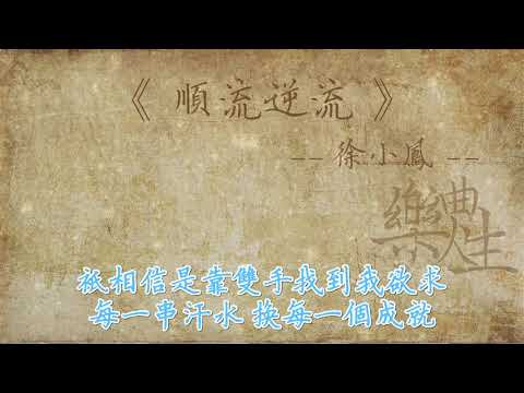 徐小凤 - 顺流逆流（原声歌词同步）