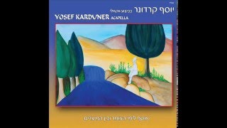 יוסף קרדונר - שיר למעלות, גרסה ווקאלית לימי העומר ובין המצרים