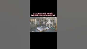 Do you know which industries industrial robots can be applied to？#Robot Palletizer