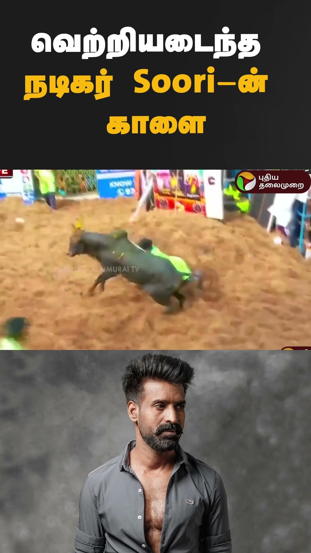 வெற்றியடைந்த நடிகர் Soori-ன் காளை | #shorts | #soori | #jallikattu