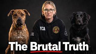 Things Nobody Tells You About Rescue Dogs (The Brutal Truth)