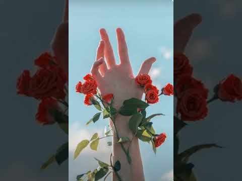 الوتر المقطوع من رسائل بريد الجمعة للكاتب الكبير عبدالوهاب مطاوع نشرت عام ٢٠٠٠م 