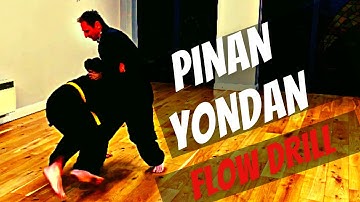 Pinan/Heian Yondan Flow Drill