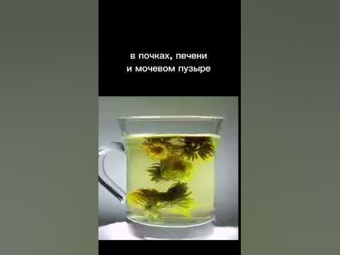 🌿 Одуванчик - лечебное растение! - YouTube