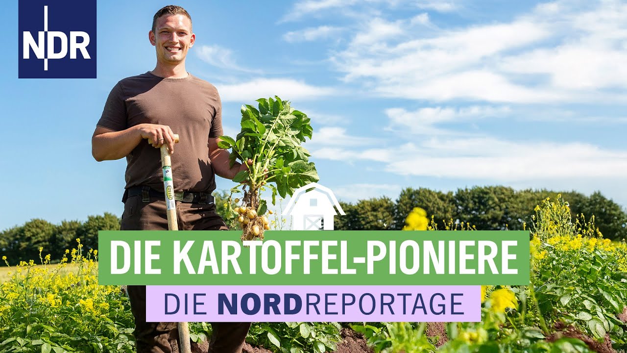 Kartoffeln, die perfekte Knolle - Zwischen Zucht, Labor und Acker | Die Nordreportage | NDR