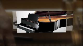 Bradley Saul Piano Tuner Technician - Tuning Ballarat