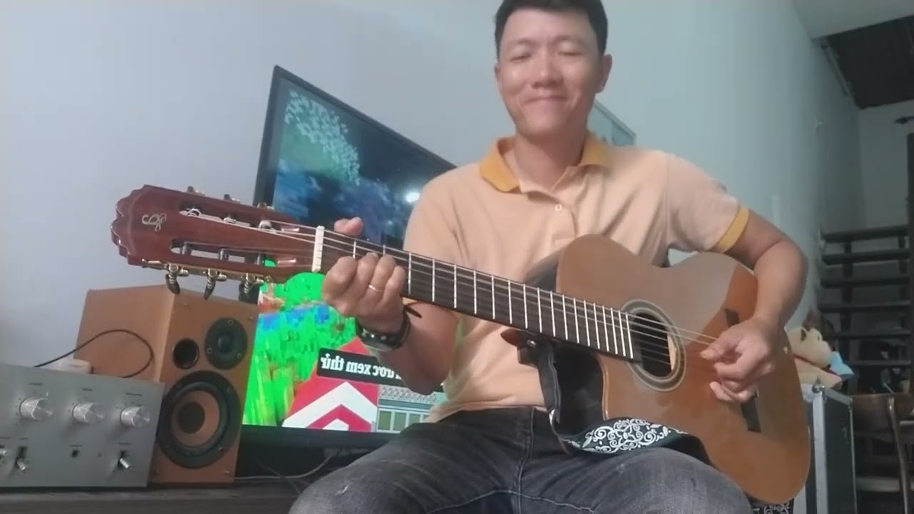 EM ĐÃ THẤY MÙA XUÂN CHƯA / guitat cover