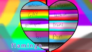 Flamingo (animation) map