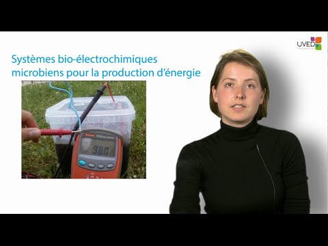 Vidéo: RELCA: Un Inventaire Régional Du Cycle De Vie Pour évaluer Les Systèmes De Bioénergie Dans Une Région