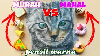 Pensil Warna MURAH 🆚️ MAHAL | Mana yang lebih SLAY💅??🤔