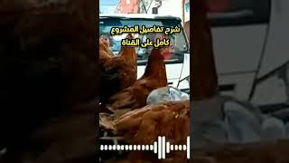 مشروع محل لبيع الفراخ