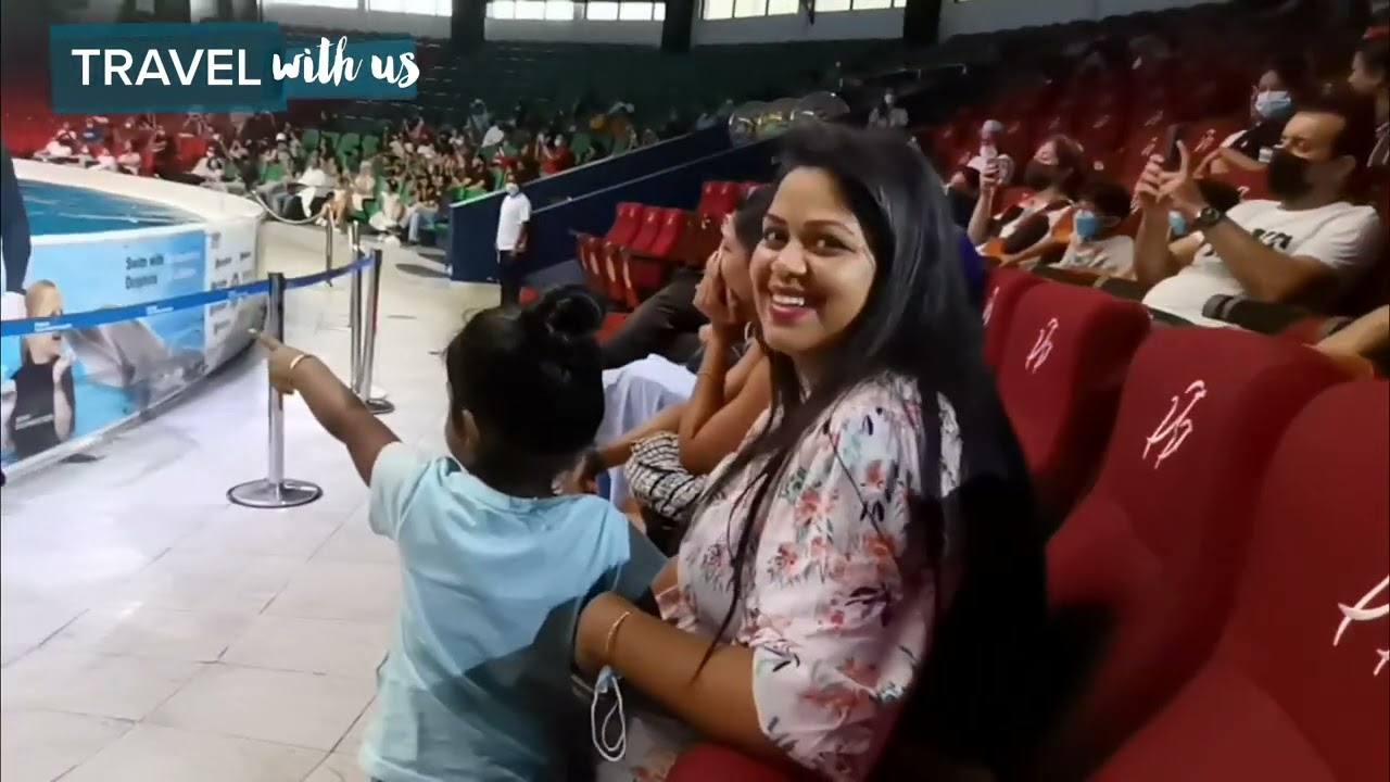A Dolphin Kissing a Girl at Dolphin Show in Dubai |Tamil | Hariharanponnusamy | Travelwithus (E-8)