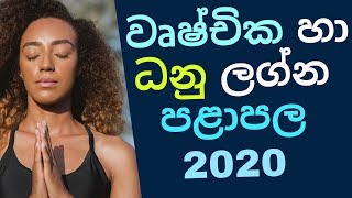 වෘෂ්චික හා ධනු ලග්න 2020 පළාපල