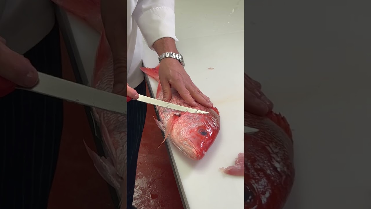 Right Handed Red Silk Snapper Fabrication With Our Very Own Chef Viverito