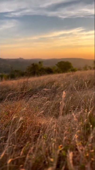 Stuart Hampton - Awakening